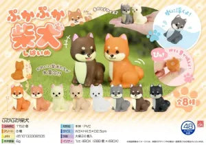 Floating Shiba Inu