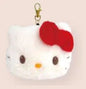 Face Pass Case Hello Kitty
