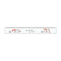 T_Rough style S17CM Ruler - Sankakuzuwari