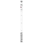 T_Cute Bird Pencil HB / Fruity Shimaenaga