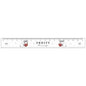 T_Cute Bird 17cm Ruler / Fruity Shimaenaga
