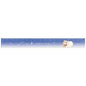 Taro-chans 17cm Ruler / Kumataroz