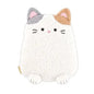 Plush Blanket / Calico Cat