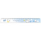 Slim 17cm Ruler / Sweets Enaga
