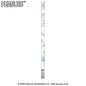 Standard Pencil 2B / Snoopy