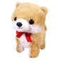Come here Dog Pomeranian
