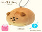 Mascot - Tosaanko