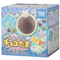 Choco tama Pokemon Pardea region friends set