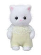 Persian Cat Baby