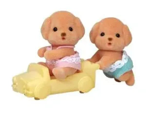 Toy Poodle Twins