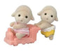Sheep Twins