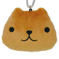 Capibara-san Pass Case - Okao~ (Japanese only)