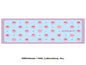 Pupupu face Hand towel ①Kirby