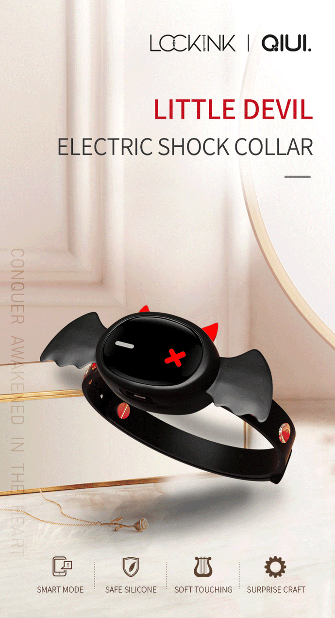 Electronic collar - Kanako.store