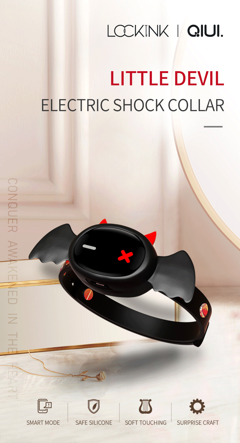 Electronic collar - Kanako.store